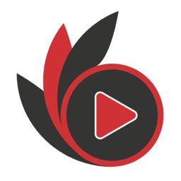 Media-Plus