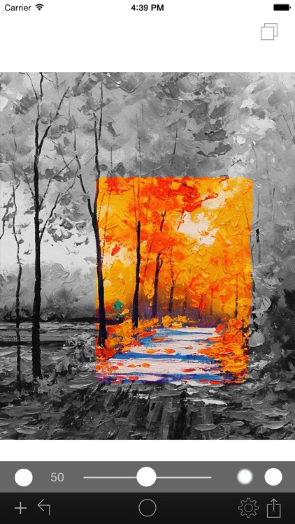Photo Color Painter