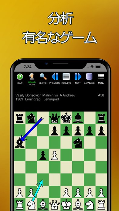 チェス: Pro - Mastersoft screenshot1