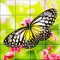 Tile Puzzle Butterflies is a free puzzle game which includes a collection of beautiful Butterflies Images
