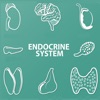 Endocrine System Quizzes icon