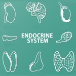 Download Endocrine System Quizzes app