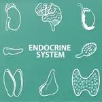 Endocrine System Quizzes App Positive Reviews