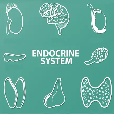 Endocrine System Quizzes Cheats