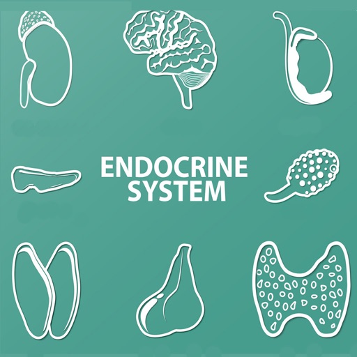 Endocrine System Quizzes icon