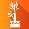 Cassava Plant Disease Identify icon