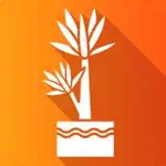 Cassava Plant Disease Identify App Support