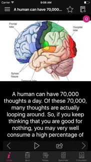 human brain facts & quiz 2000 iphone screenshot 4