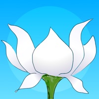 Lotus Bud Meditation Timer app not working? crashes or has problems?