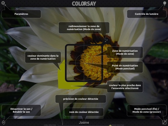 ColorSay ColorSay