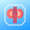 Kidney Stone Scoring icon