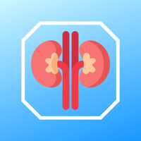 Kidney Stone Scoring