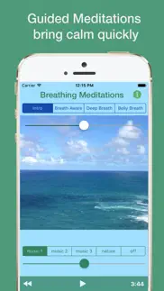 at ease anxiety relief iphone screenshot 2