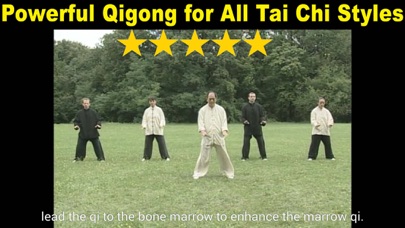 Tai Chi Ball Qigong Screenshot