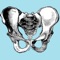 iSurgical provides a set of about 240 anatomical drawings of the human body for viewing and drawing upon, as well as a facility for taking photographs, which can be drawn upon as well