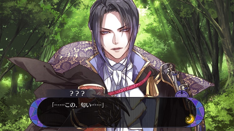戦刻ナイトブラッド 光盟【戦国恋愛ファンタジーゲーム】 screenshot-5