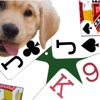 K9 Euchre: Trick Card Game icon