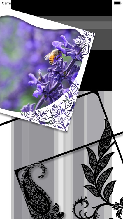 Fancy Frames - Photo Layers