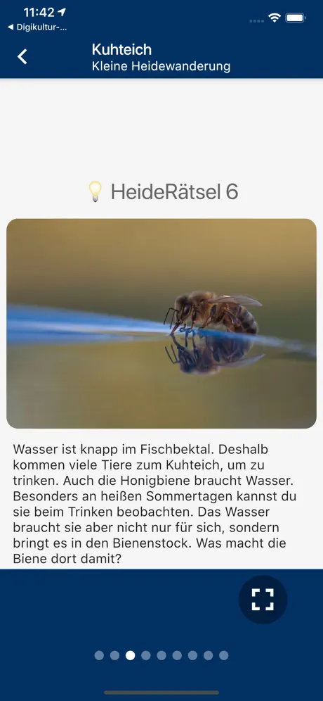 Natürlich Hamburg!