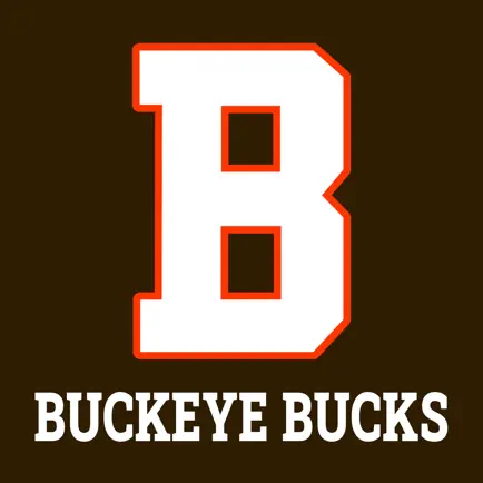 Buckeye Local Schools Читы
