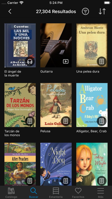 Bibliomarianistas Screenshot