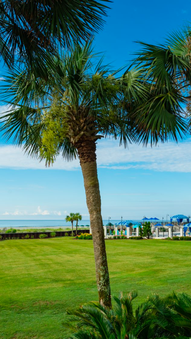 Dunes Golf and Beach Club Screenshot