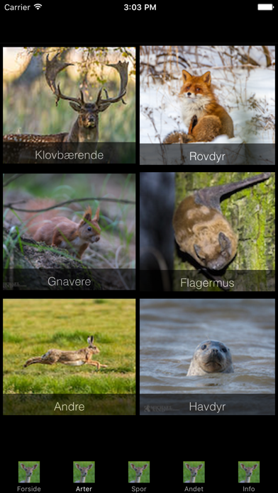 DyreApp Screenshot