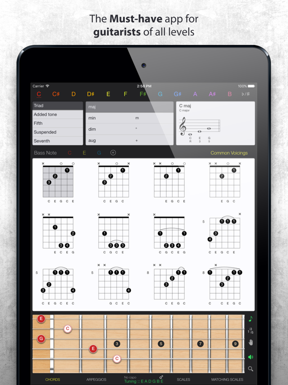 Guitar Gravitas: Chords Scales screenshot 2