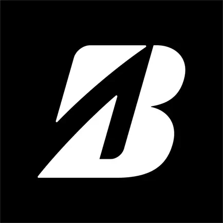 Bridgestone Education Network Cheats
