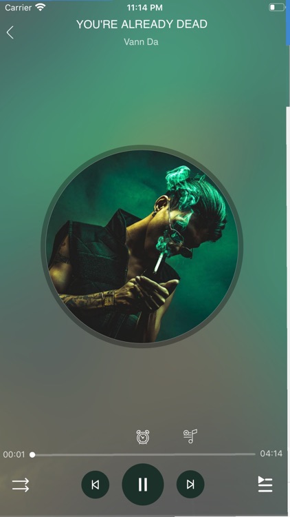 Khmer Music Pro - Khmer Song screenshot-6