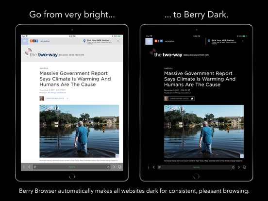 Berry Dark Browser iPad app afbeelding 1