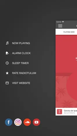 Game screenshot Radio Tulum hack