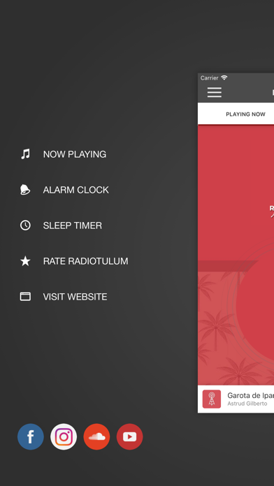 Screenshot #3 pour Radio Tulum