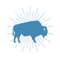 Connect with the New Covenant Buffalo app