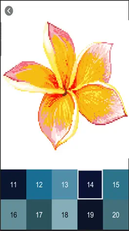 Game screenshot Butterfly & Flower Pixel Color hack