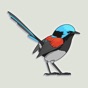 Exotic Bird Stickers app download