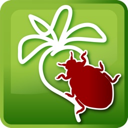 Sjukdomar i sockerbetor