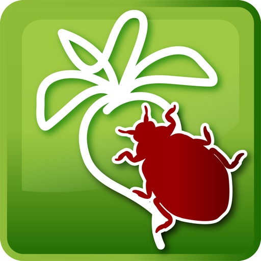 Sjukdomar i sockerbetor