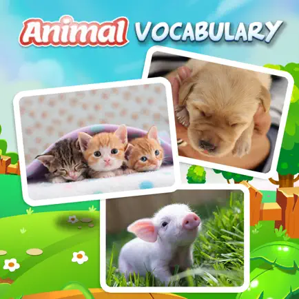 Learn Animal Vocabulary Eng Cheats