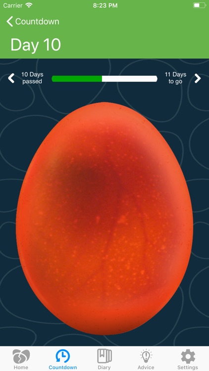 iHatch-Chickens