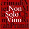 NonSoloVino icon