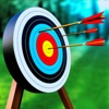 Archery Shooting Master icon