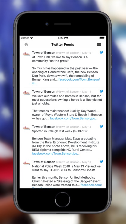 Town of Benson screenshot-3