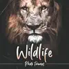 Wildlife Photo Frames Deluxe problems & troubleshooting and solutions