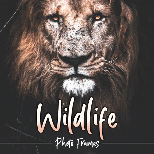 Wildlife Photo Frames Deluxe icon