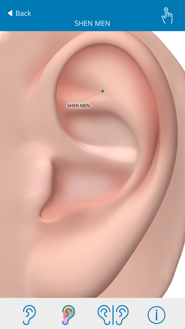 Auriculo 360 - The Living Ear