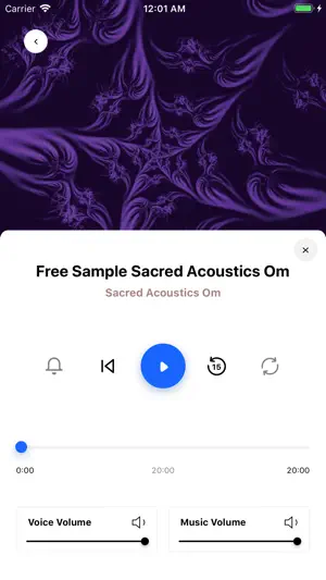 Sacred Acoustics screenshot 2