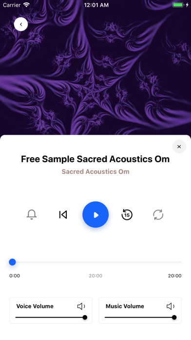 Sacred Acoustics Screenshot