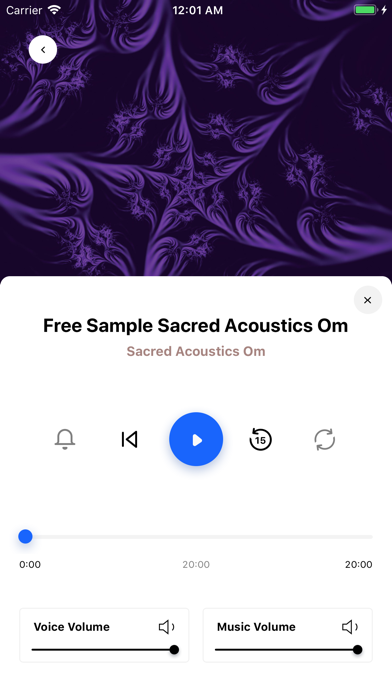 Screenshot #2 pour Sacred Acoustics