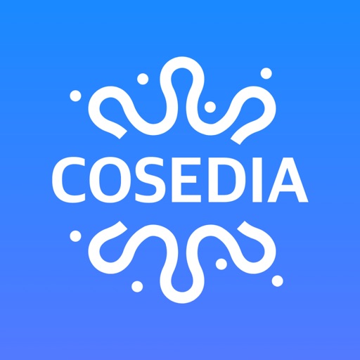 코세디아 기업용